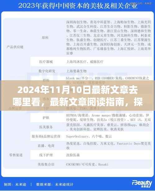 探寻最新文章阅读指南，揭秘2024年11月10日的精彩内容