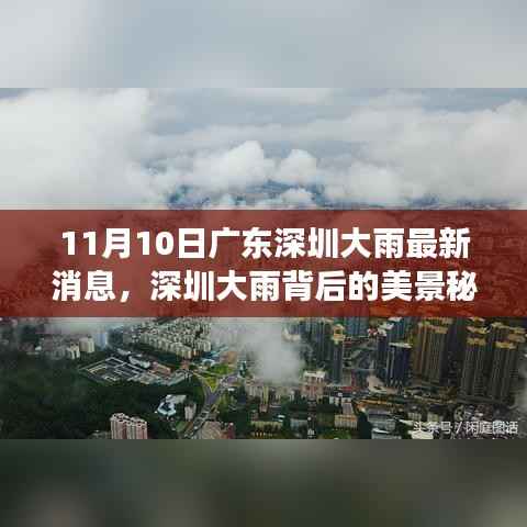 广东深圳暴雨背后的美景秘境,心灵洗涤之旅