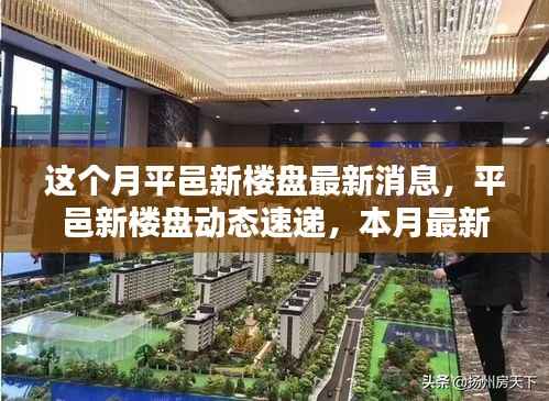 平邑新楼盘本月动态速递，最新消息与楼盘动态全解析