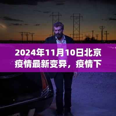 北京疫情最新变异下的温情与友情日常,2024年11月10日最新观察