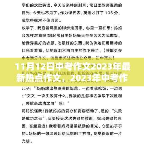 2023年中考作文热点聚焦与影响分析,回顾与展望