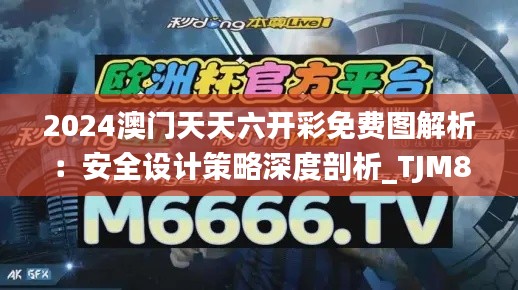 2024澳门天天六开彩免费图解析:安全设计策略深度剖析_TJM857.43经济版