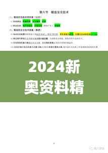 2024新奥资料精准免费175，安全策略详解_独家CPV777.15版