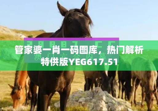 管家婆一肖一码图库,热门解析特供版YEG617.51