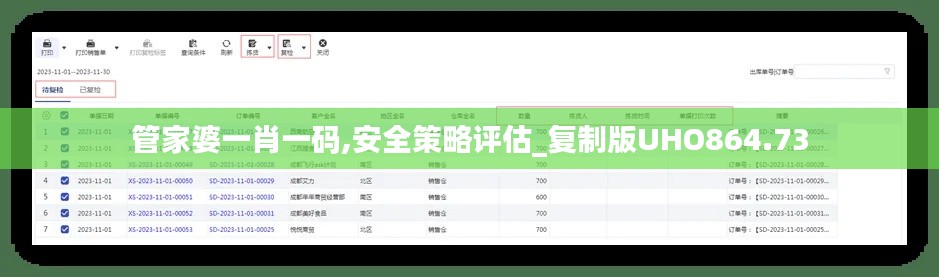 管家婆一肖一码,安全策略评估_复制版UHO864.73