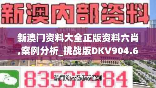 新澳门资料大全正版资料六肖,案例分析_挑战版DKV904.64