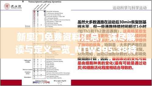 新奥门免费资料汇总,详尽解读与定义一览_NTW395.38持续更新