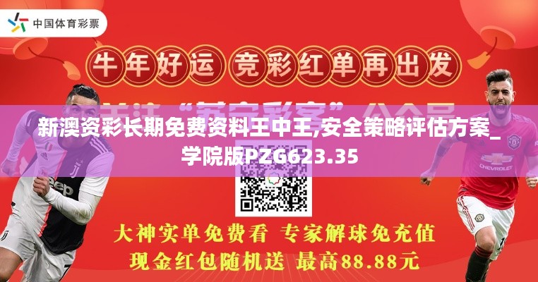 新澳资彩长期免费资料王中王,安全策略评估方案_学院版PZG623.35