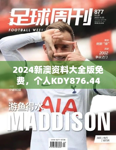 公司概况 第229页