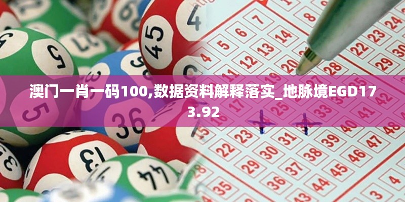 澳门一肖一码100,数据资料解释落实_地脉境EGD173.92