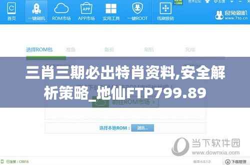 三肖三期必出特肖资料,安全解析策略_地仙FTP799.89