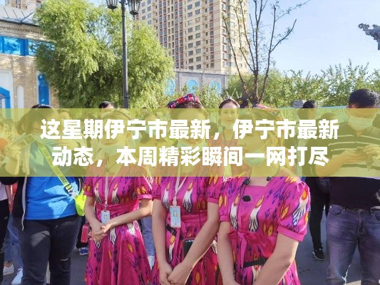 目不转睛 第25页