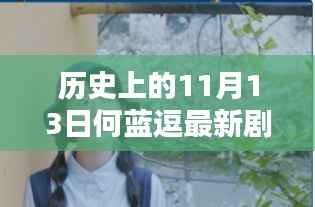 历史上的11月13日何蓝逗最新剧深度解析与探讨,深度探讨与解析