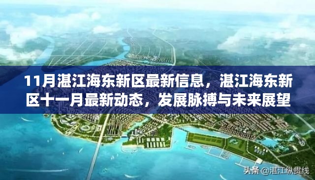 湛江海东新区十一月最新动态,发展脉搏、未来展望与最新信息速递