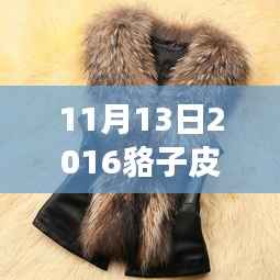 揭秘,2016年11月13日貉子皮市场最新行情及价格走势分析
