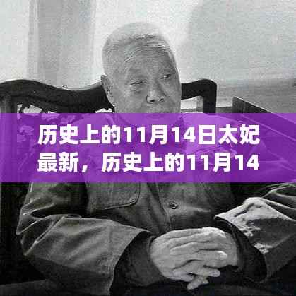 历史上的11月14日太妃传奇,最新解读与影响全解析