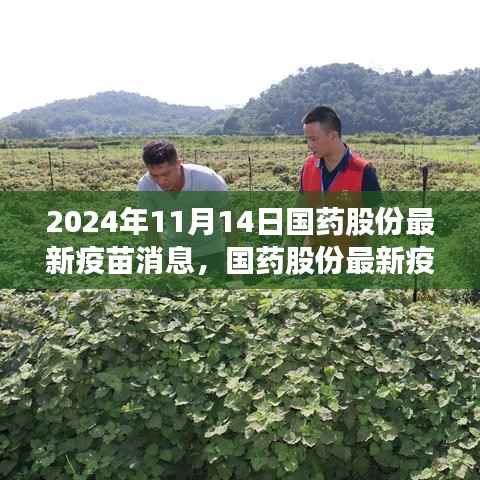 国药股份最新疫苗科技突破,前沿科技重塑健康防线之旅