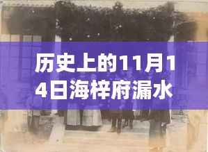 历史上的11月14日海梓府漏水事件最新进展揭秘