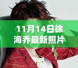 徐海乔最新时尚照片曝光,掌握潮流资讯,新手进阶指南揭秘如何获取并分析最新动态