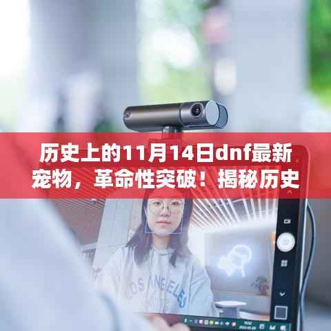 揭秘历史上的11月14日dnf全新智能宠物,未来生活的新伙伴,革命性突破!