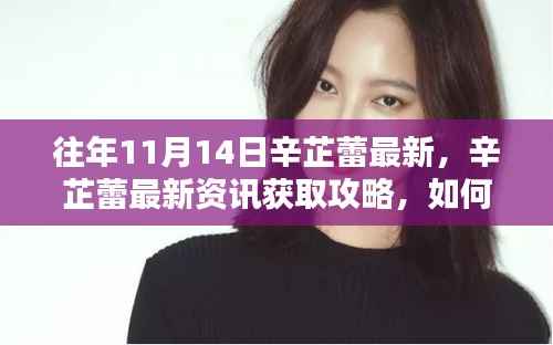 掌握往年11月14日辛芷蕾最新动态,资讯获取攻略