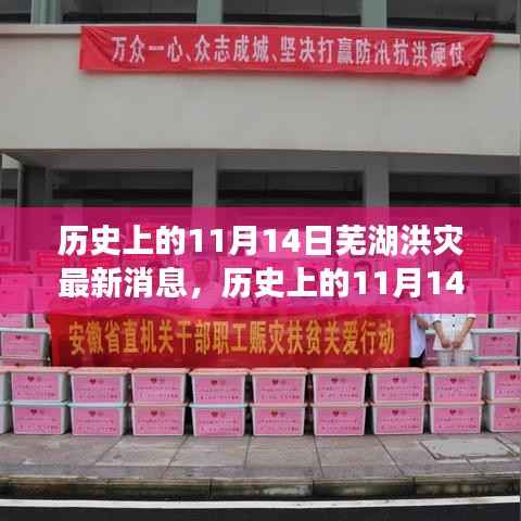 历史上的11月14日芜湖洪灾,全面关注与应对的最新消息指南