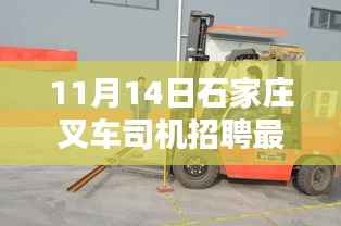 11月14日石家庄叉车司机招聘最新消息深度解析与介绍