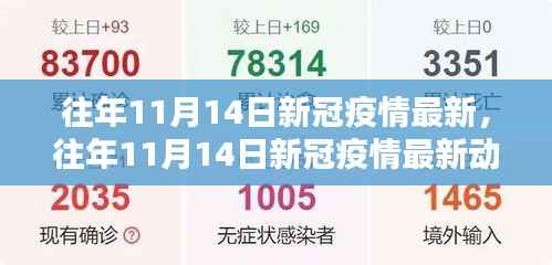 往年11月14日新冠疫情最新动态概览及要点解析