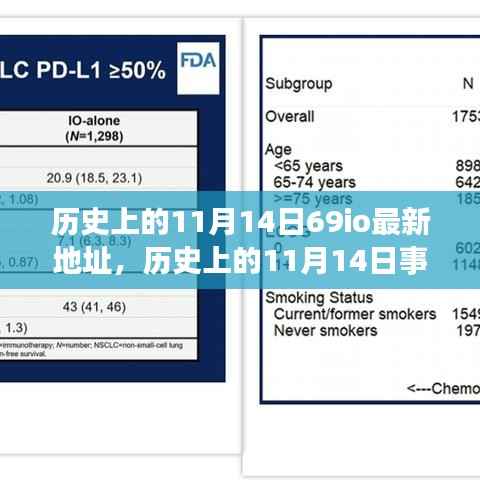 历史上的11月14日事件与69io最新地址探索,指南及发掘方法