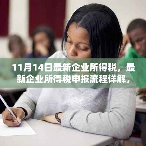 初学者必备,最新企业所得税申报流程详解与全方位指南(11月最新版)