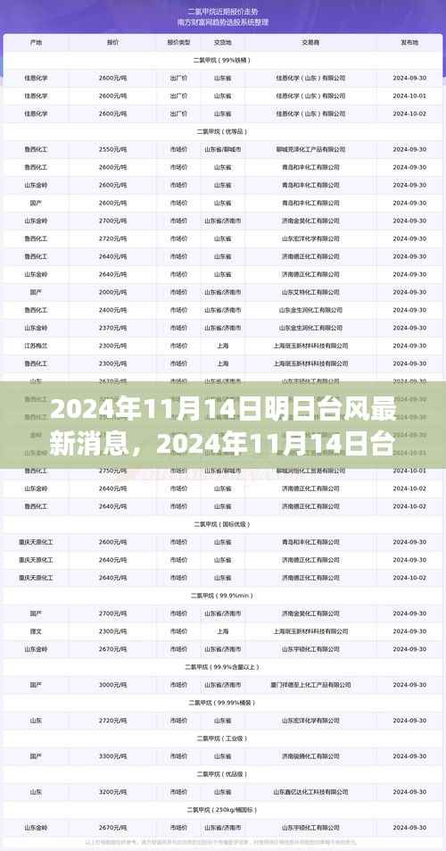 台风最新消息深度评测,特性、体验、竞品对比与用户分析(2024年台风动态)