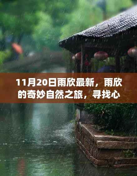 雨欣的11月20日奇妙探险,自然之旅寻找心灵宁静与笑声
