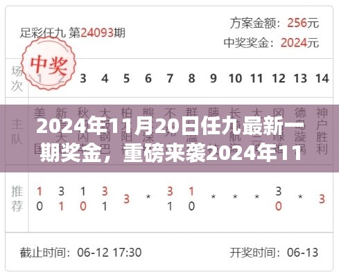 揭秘2024年11月20日任九最新一期奖金揭晓,财富密码大解密!