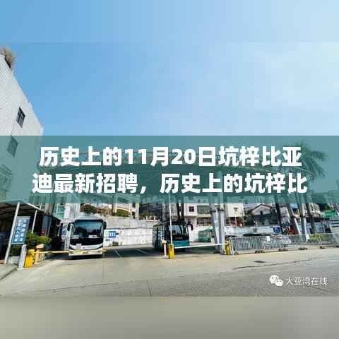 坑梓比亚迪招聘高峰日揭秘,探寻历史招聘足迹下的11月20日