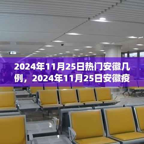 2024年11月25日安徽疫情最新热点解读,病例数量及防控措施