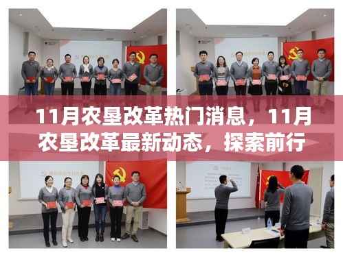 探索前行,农垦改革最新动态引领农业现代化
