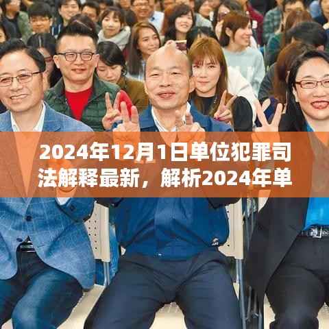 深度解析,2024年单位犯罪司法解释最新动态及三大要点探讨