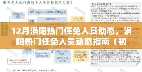 12月涡阳任免人员动态全解析,热门任免指南(初学者与进阶用户必备)