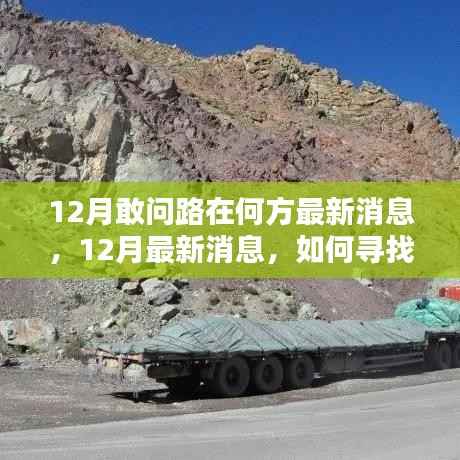 12月最新消息,寻找人生方向之路的步步为赢指南