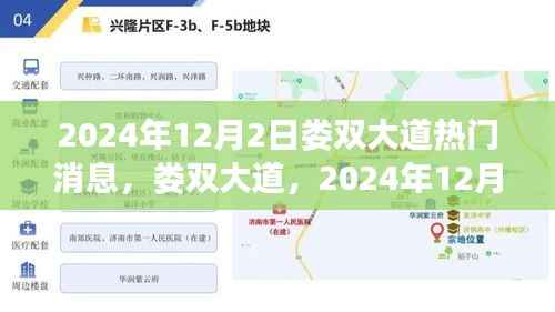 娄双大道热门焦点，揭秘2024年12月2日事件及其深远影响
