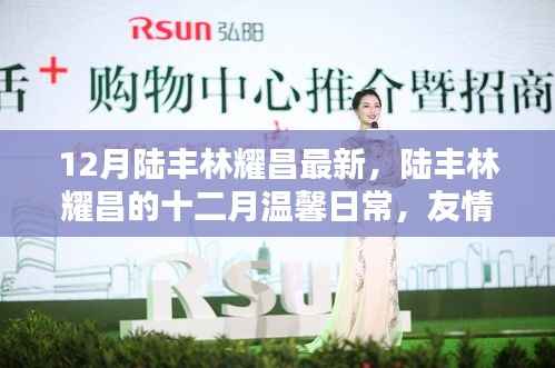 陆丰林耀昌十二月温馨日常,友情、欢笑与家的温暖时刻
