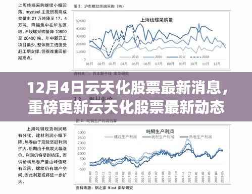 云天化股票最新动态揭秘,市场走势分析与前景展望(12月4日更新)