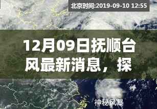 抚顺台风日下的隐秘小巷与风味小店探秘记(最新消息)