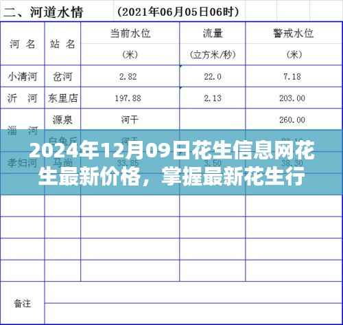 2024年花生信息网最新价格及行情全攻略,初学者与进阶用户必备查询指南