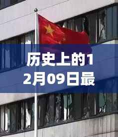揭秘历史上的塑钢市场风云变幻,今日塑钢价格揭秘与最新价格回顾(附日期,12月09日)