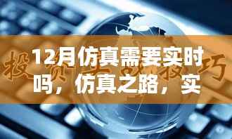 仿真之路,实时启航,迎接自信与成就感的魔法时刻——十二月仿真需求解析