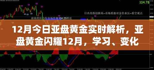亚盘黄金闪耀12月,实时解析与策略布局,把握今日共创辉煌