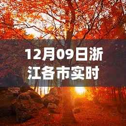 浙江各市实时天气播报,十二月初的奇迹,天气与美景的浪漫碰撞之旅,探寻内心宁静之旅