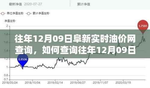 往年12月09日阜新实时油价网查询攻略,初学者与进阶用户指南