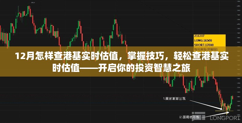 掌握技巧,轻松查询港基实时估值,开启投资智慧之门(12月版)